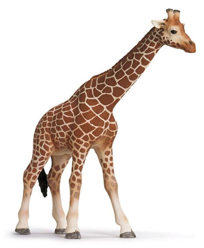 Schleich - Žirafa * *